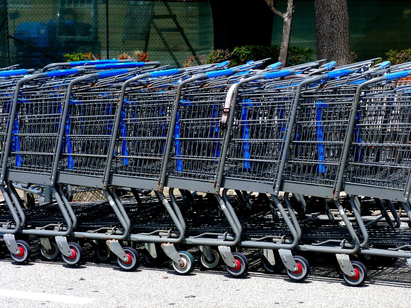 A row of Walmart shopping carts. Photo: Rusty Clark, CC BY 2.0, via Wikimedia Commons.